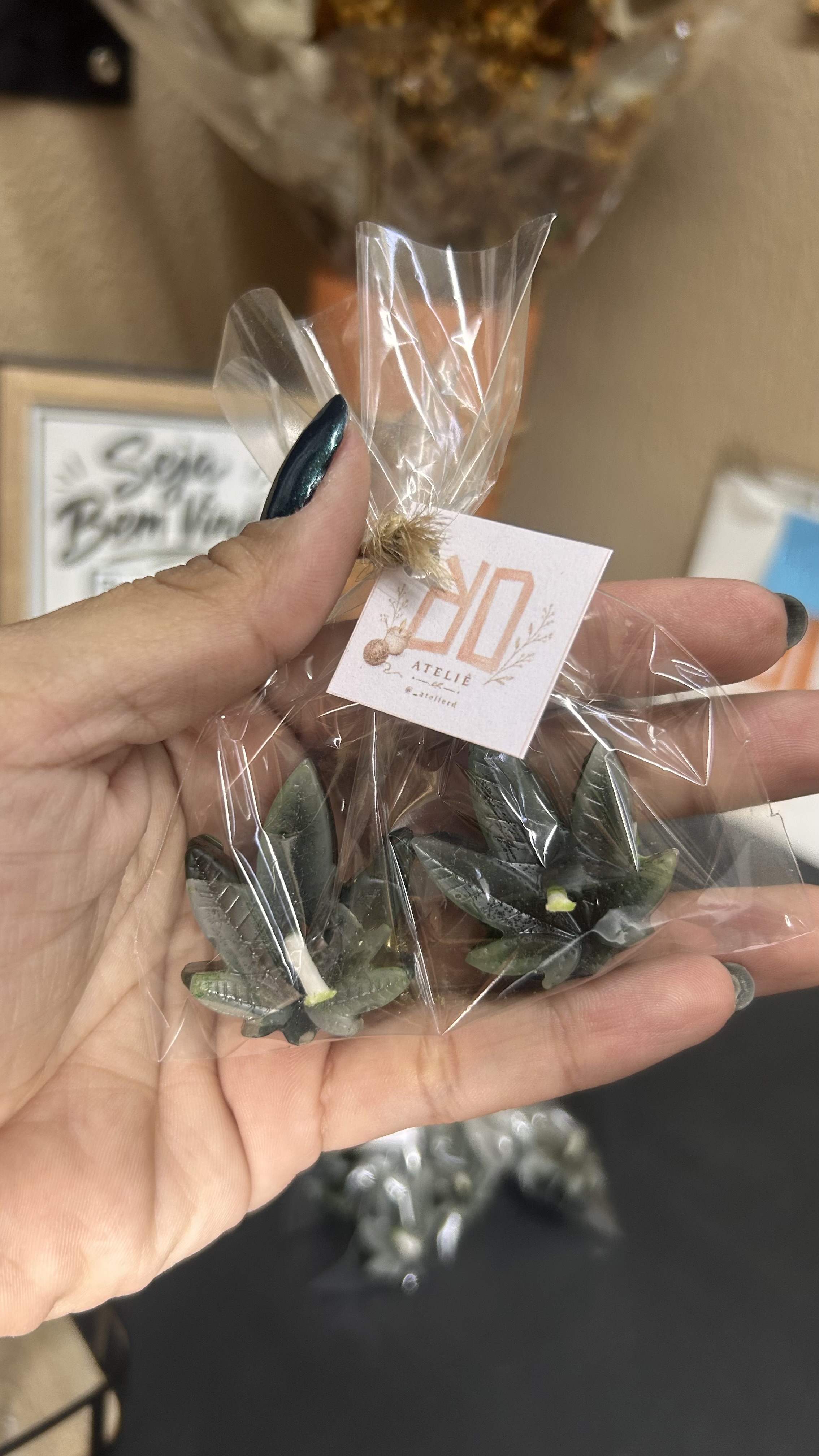 Foto de Kit mini vela plantas